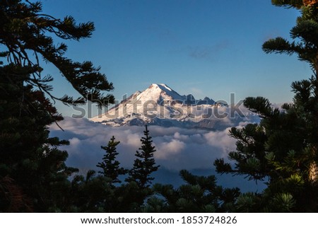 Stunning picture of mount baker through trees