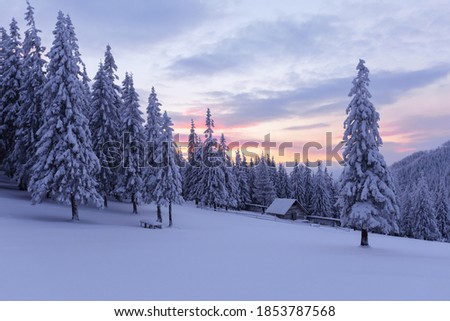 Amazing winter scenery. Old wooden hut on the lawn covered with snow. Fantastic sunrise. Landscape of high mountains and forests. Wallpaper background. Location place Carpathian, Ukraine, Europe.