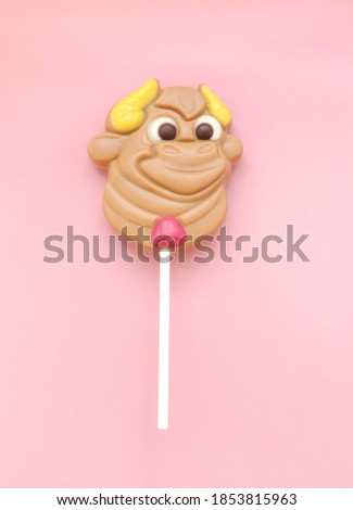bull is  symbol of the New year 2021.  chocolates  candy on  stick in the form of bull  ,  pink background , flat lay        