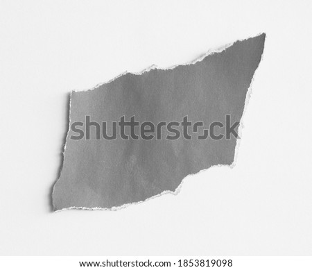 pieces of torn paper texture background with copy space for text
