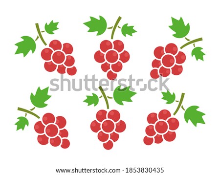 Red grape icon set. Fruit group vector illustration. Different grape vine forms. Fresh healthy food concept.