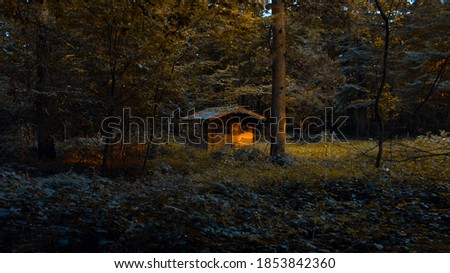 shack in the middle of the forest