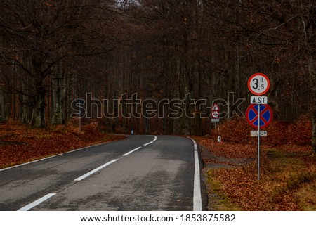 A beautiful view of a road through the woods