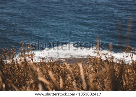 A high angle shot of the ocean as seen from a grassy cliff in the coast of New South Wales, Australia