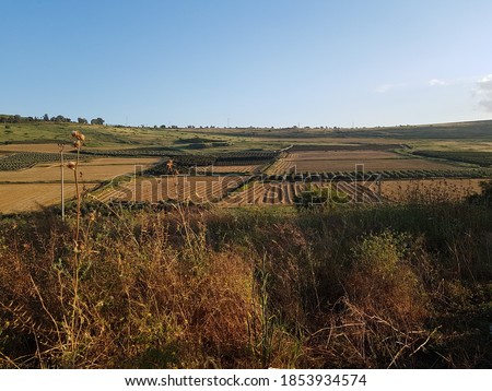 Fields in the Golan, North Israel