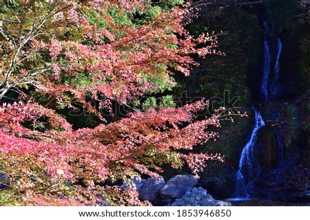 Autumn leaves in Tokushima, Shikoku