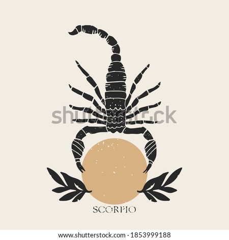 Zodiac sign Scorpio in boho style. Trendy vector illustration. Royalty-Free Stock Photo #1853999188