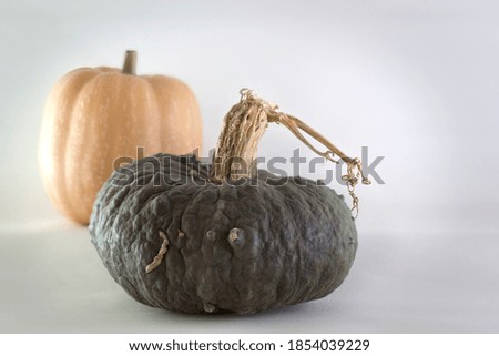 Orange pumpkin and green pumpkin on white background 