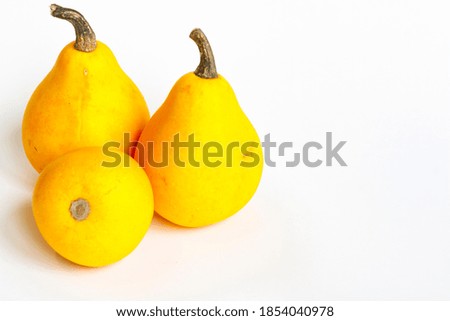 Three orange pumpkins in the shape of a pear on a white background. Autumn harvest of pumpkins. Hello autumn