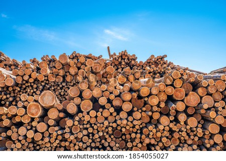 Piles of Douglas Fir Logs in a log yard ready to be milled through a sawmill in Canada to produce softwood lumber  Royalty-Free Stock Photo #1854055027