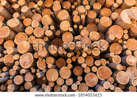 Piles of Douglas Fir Logs in a log yard ready to be milled through a sawmill in Canada to produce softwood lumber Royalty-Free Stock Photo #1854055615