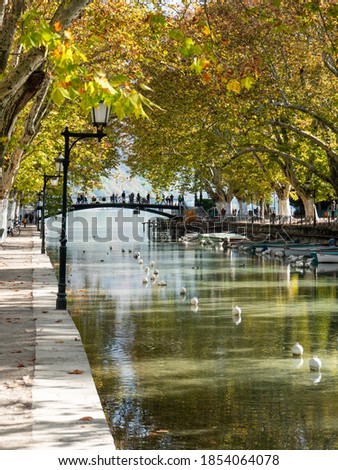 View on the Thiou, a short river in the city of Annecy, France. Photographed during autumn. Birds on the water. In the background there is the Pont des Amours (bridge of love). Royalty-Free Stock Photo #1854064078