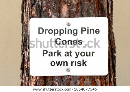Dropping pine cones warning sign attached to mature pine tree trunk at the parking lot.