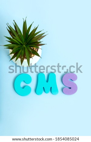 Custom Management System. Word CMS and succulent on blue background. Flat lay, top view.