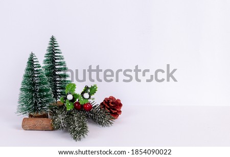 Close-up of two Christmas flowering trees isolated with a white background