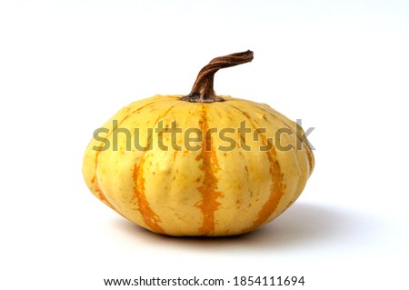 Decorative Strange Pumpkin With Curled Stem Isolated On White, Food from fairy tail
