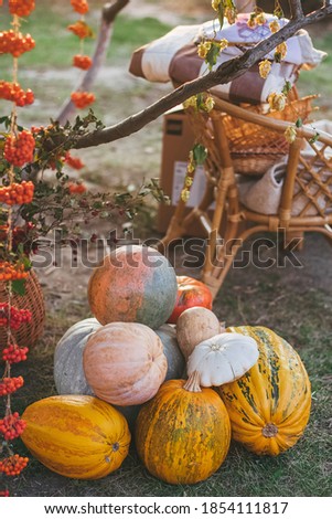 Pumpkins and autumn leaves decorations on wooden background.