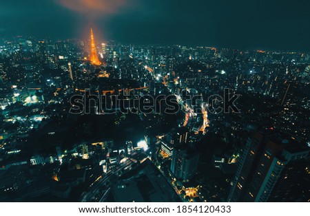 Tokyo, Japan cityscape view from high above