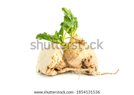 Freshly harvested sugar beet on isolated on white background Royalty-Free Stock Photo #1854131536