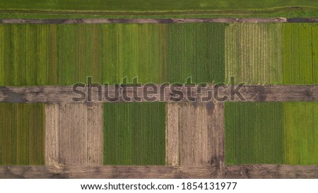 aerial photography fields sunflower agrarians nature sky
