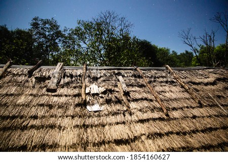 Image of hut roof. Traditional palm roof in tropical places. 