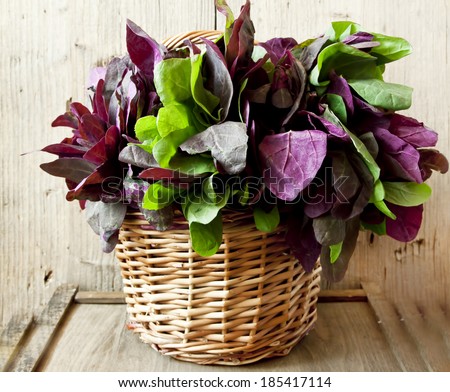 Colorful Orach in the Basket on Wooden Background