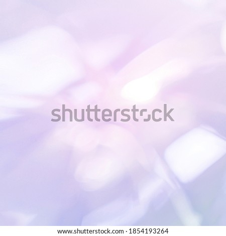 White Purple and pink light leaves blurred and blur natural abstract. Blurry morning . For wallpaper backdrop and background.
