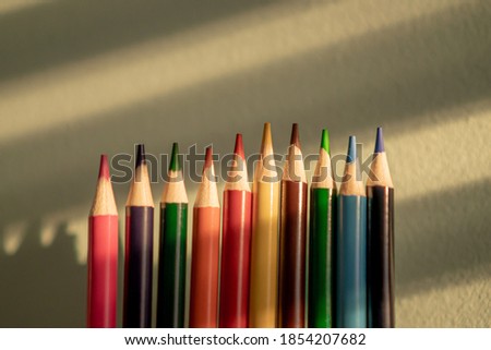 Colored pencils in a row illuminated by sunlight and a white wall in the background.