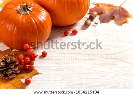 Orange pumpkins, fallen leaves, apples and berries on white wooden background. The concept of autumn template, Thanksgiving day. Copy space.