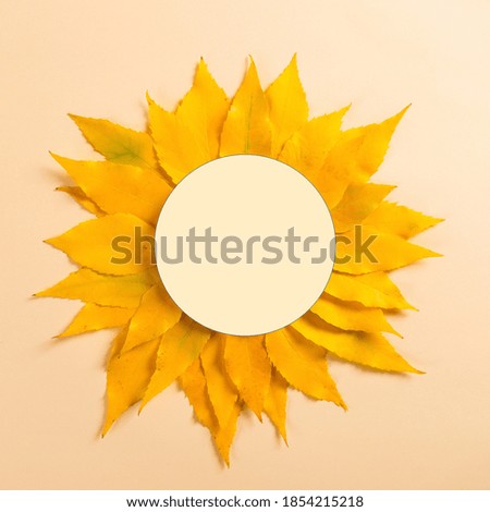 Frame and autumn leaves on yellow background, mockup for design, place for text, concept of autumn. Copy space.
