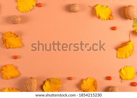 Frame and autumn leaves on yellow brown background, mockup for design, place for text, concept of autumn. Copy space.
