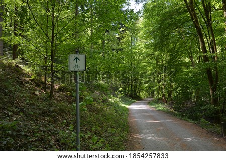 bikepath in Black Forest in Germany in summer 2020