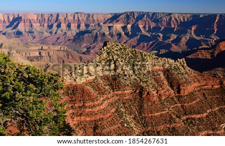 view  from the north rim of the grand canyon national park, arizona, on a sunny afternoon at cape royal Royalty-Free Stock Photo #1854267631