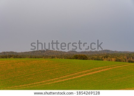 agricultural land cultivated in autumn on uneven ground and trees in the distance