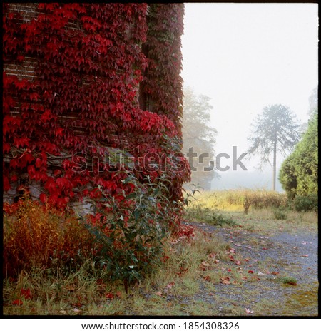 Autumn leaves covered castle in Tudor architectural style, surrounded by meadow with trees, fall colors, 19th century chateau, analog film