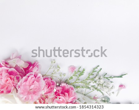 Many flowers decorate a beautiful bush. On a white background For making cards Or background image