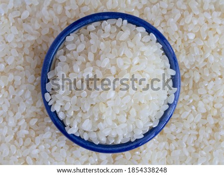 Japanese uruchimai mochigome rice consists of short translucent grains. It is a staple food in Japanese cuisine., close up.