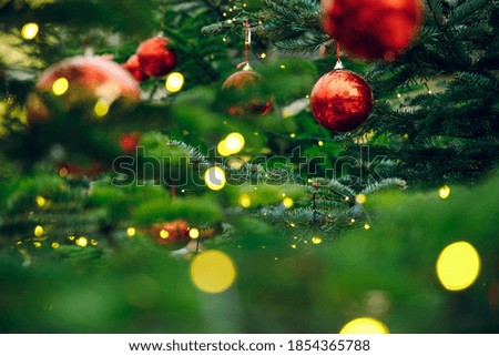 Christmas soft focus concept picture of light lamps illumination and red ball toys on pine trees green branches 