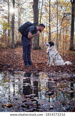 man and his shepherd dog in autumn forest