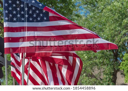 Looking up waving American flags with green trees background at a peaceful protest near Dallas, Texas, America. Proudly march, rally, patriot, protest concept
