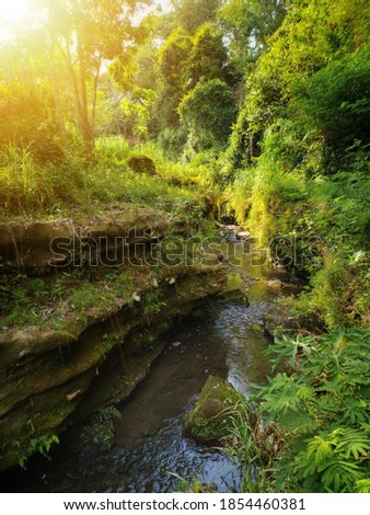 Beautiful view of river in the forest in the morning atmosphere.
location in Klaten, Central Java, Indonesia.