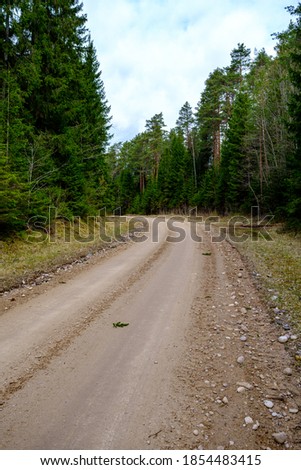 countryside dirt road gravel in perspective in summer with grass on the sides