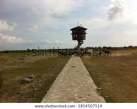 Empty wooden bird watch tower on kizilirmak delta 