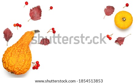 Thanksgiving holiday. Autumn Natural food, harvest with orange pumpkin, fall dried leaves, rowan berries isolated on white background. Mockup for seasonal offers and holiday post card, top view.