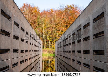 Concrete blocks in the Waterloopbos Vollenhove Flevoland Netherlands, Used to test the way water reacts to certain builds. Autumn in the forest Holland