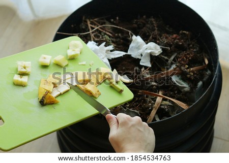 Using a knife to scrape banana peel and apple core into an indoor wormery compost bin