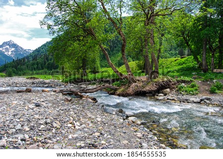 small river in spruce forested mountains with some trees in red foliage. camping place behind the fence on a grassy meadow. gorgeous landscape under vivid cloudy sky on fine autumn day Royalty-Free Stock Photo #1854555535