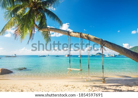 Beautiful tropical island beach with coconut palm trees and two swings, koh Tao, Thailand