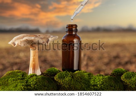 Alternative medicine - medical mushroom, concept. Health or psychedelic mushroom essence Royalty-Free Stock Photo #1854607522