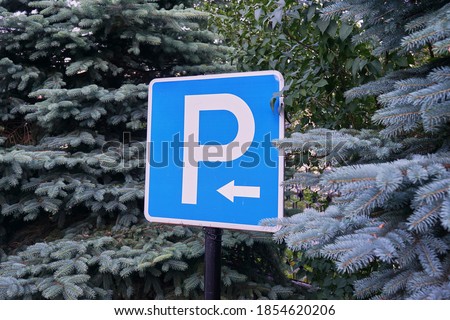 parking sign in the park. background spruce